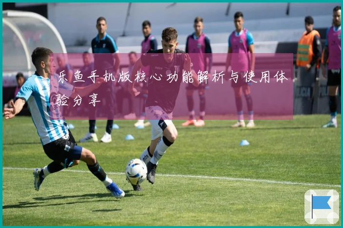 乐鱼手机版核心功能解析与使用体验分享