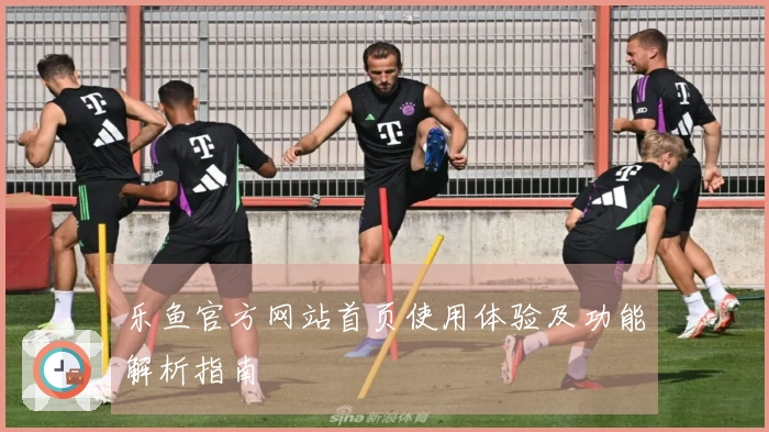 乐鱼官方网站首页使用体验及功能解析指南