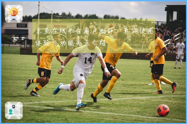 乐鱼在线平台用户测评：真实使用体验与功能亮点介绍