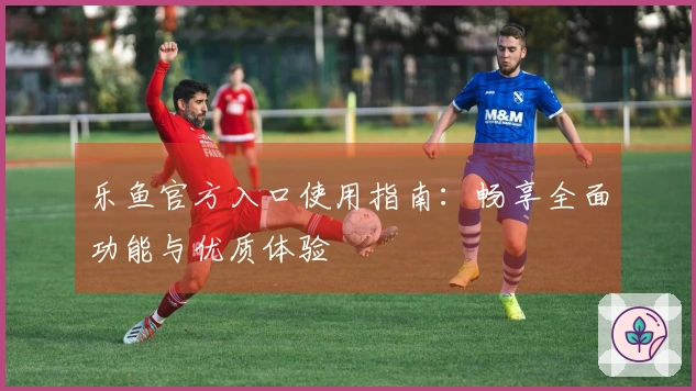 乐鱼官方入口使用指南：畅享全面功能与优质体验